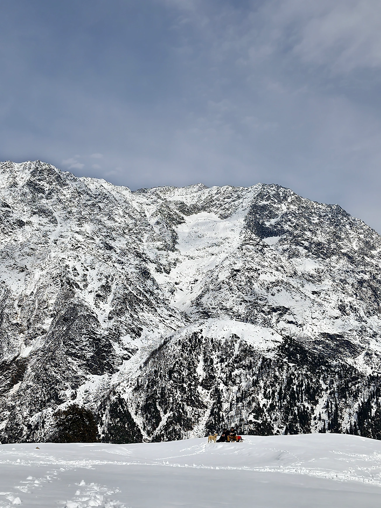Triund Gallery 15