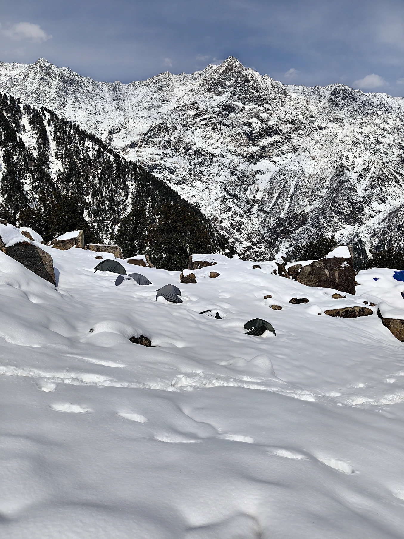 Triund Gallery 36